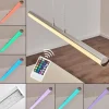 Suspension Flaut LED Chrome, 1 lumière, Télécommandes, Changeur de couleurs