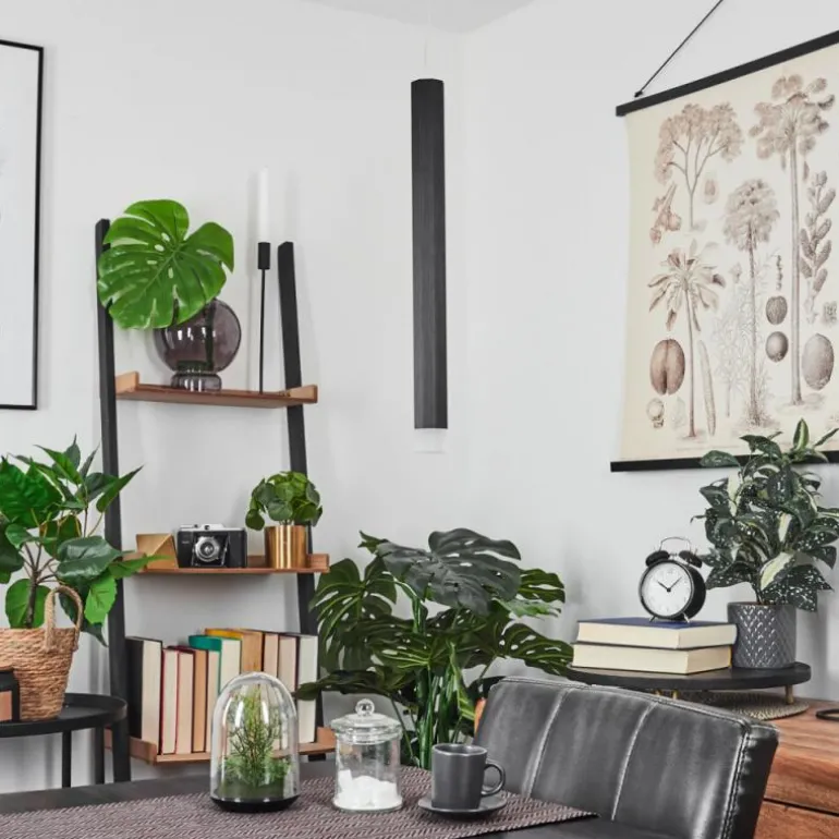 Suspension Freshwater LED Noir, 1 lumière