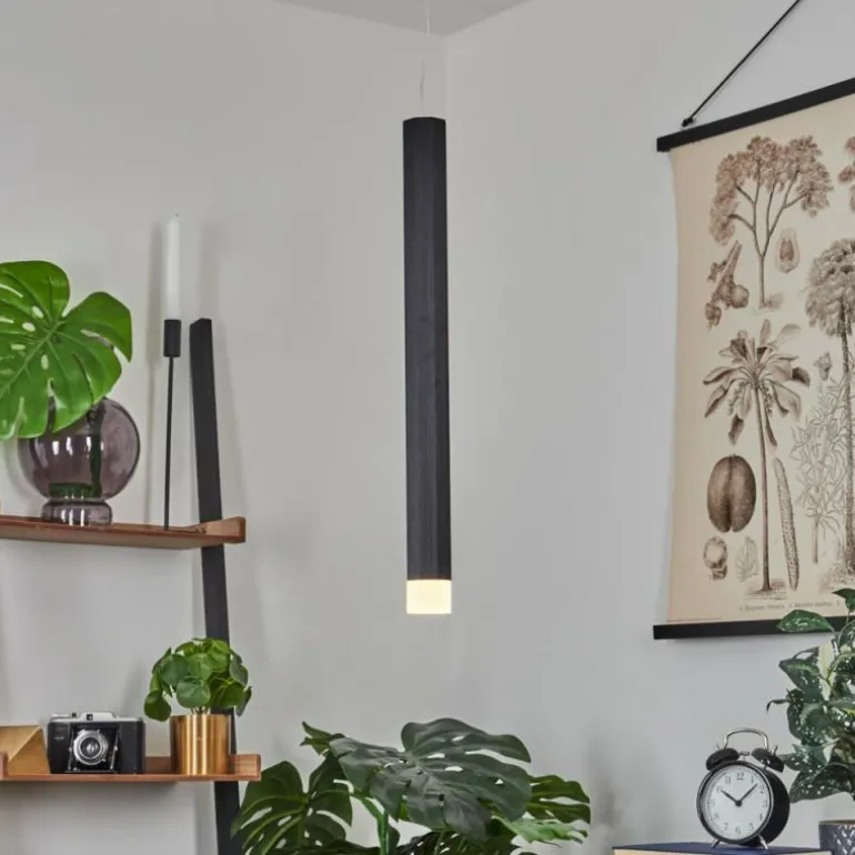 Suspension Freshwater LED Noir, 1 lumière