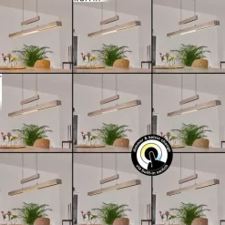 Suspension Inicio LED Nickel mat, 5 lumières