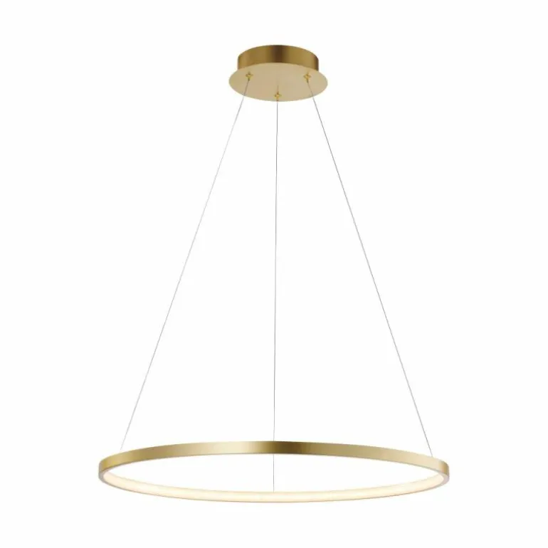 Suspension Leuchten Direkt CIRCLE LED Or, 1 lumière
