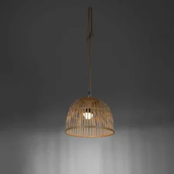 Suspension Leuchten Direkt DAVID LED Brun, 1 lumière, Télécommandes, Changeur de couleurs