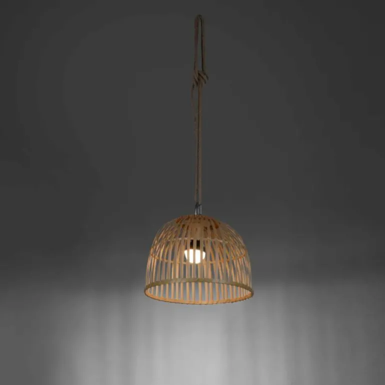 Suspension Leuchten Direkt DAVID LED Brun, 1 lumière, Télécommandes, Changeur de couleurs