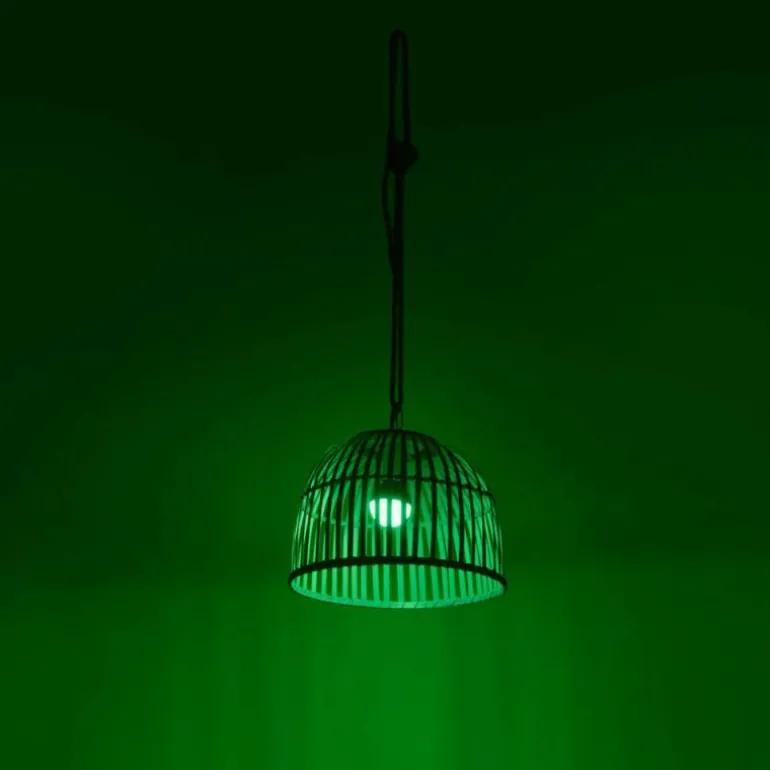 Suspension Leuchten Direkt DAVID LED Brun, 1 lumière, Télécommandes, Changeur de couleurs