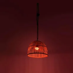 Suspension Leuchten Direkt DAVID LED Brun, 1 lumière, Télécommandes, Changeur de couleurs