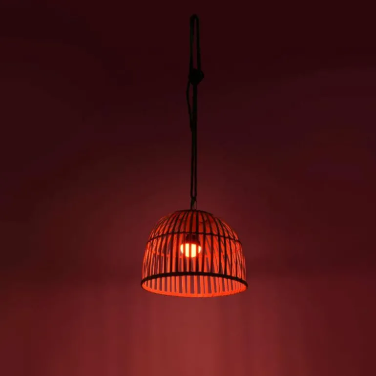 Suspension Leuchten Direkt DAVID LED Brun, 1 lumière, Télécommandes, Changeur de couleurs