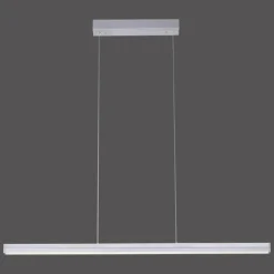 Suspension Leuchten-Direkt NIRO LED Nickel mat, 2 lumières