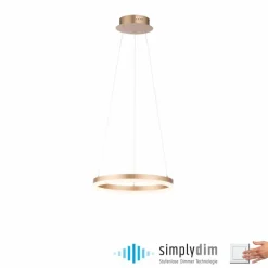 Suspension Leuchten-Direkt TITUS LED Laiton, 1 lumière