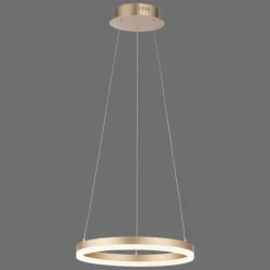 Suspension Leuchten-Direkt TITUS LED Laiton, 1 lumière