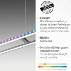 Suspension Leuchten-Direkt FELIX60 LED Acier brossé, 2 lumières, Télécommandes, Changeur de couleurs