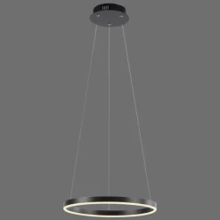 Suspension Leuchten-Direkt RITUS LED Anthracite, 1 lumière