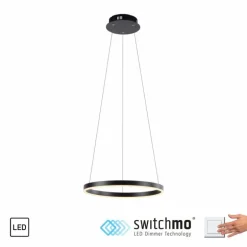 Suspension Leuchten-Direkt RITUS LED Anthracite, 1 lumière