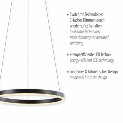 Suspension Leuchten-Direkt RITUS LED Anthracite, 1 lumière