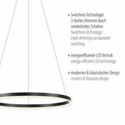Suspension Leuchten-Direkt RITUS LED Noir, 1 lumière