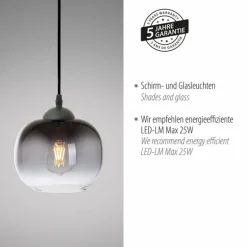 Suspension Leuchten-Direkt ZEA Noir, 1 lumière