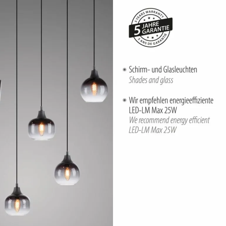 Suspension Leuchten-Direkt ZEA Noir, 6 lumières