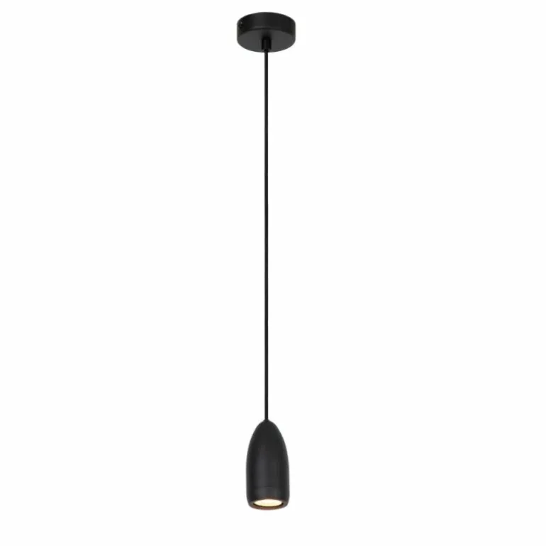 Suspension Lucide EVORA Noir, 1 lumière