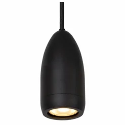 Suspension Lucide EVORA Noir, 1 lumière