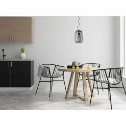 Suspension Lucide FERN Noir, 1 lumière