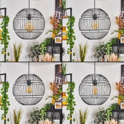 Suspension Pampanillo Noir, 1 lumière