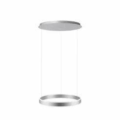 Suspension Paul Neuhaus ARINA LED Acier inoxydable, 2 lumières, Détecteur de mouvement