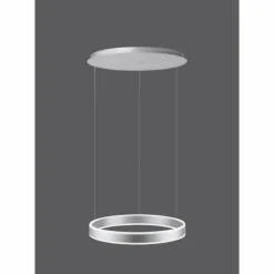 Suspension Paul Neuhaus ARINA LED Acier inoxydable, 2 lumières, Détecteur de mouvement