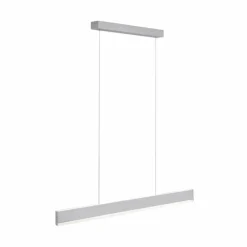 Suspension Paul Neuhaus ARINA LED Acier inoxydable, 2 lumières, Détecteur de mouvement