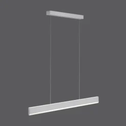 Suspension Paul Neuhaus ARINA LED Acier inoxydable, 2 lumières, Détecteur de mouvement