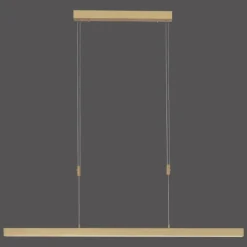 Suspension Paul Neuhaus ADRIANA LED Laiton, 3 lumières