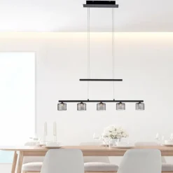 Suspension Paul Neuhaus HYDRA LED Noir, 5 lumières