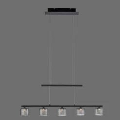 Suspension Paul Neuhaus HYDRA LED Noir, 5 lumières