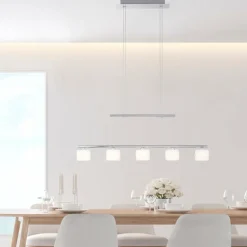 Suspension Paul Neuhaus HYDRA LED Acier brossé, 5 lumières