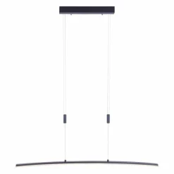 Suspension Paul Neuhaus JANINA LED Anthracite, 1 lumière