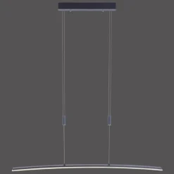 Suspension Paul Neuhaus JANINA LED Anthracite, 1 lumière