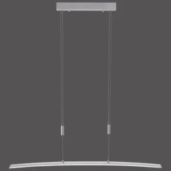 Suspension Paul Neuhaus JANINA LED Acier inoxydable, 1 lumière