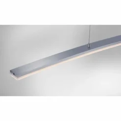 Suspension Paul Neuhaus JANINA LED Acier inoxydable, 1 lumière