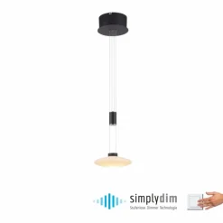 Suspension Paul Neuhaus LAUTADA LED Noir, 1 lumière