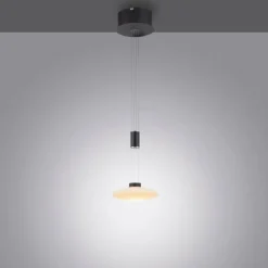 Suspension Paul Neuhaus LAUTADA LED Noir, 1 lumière