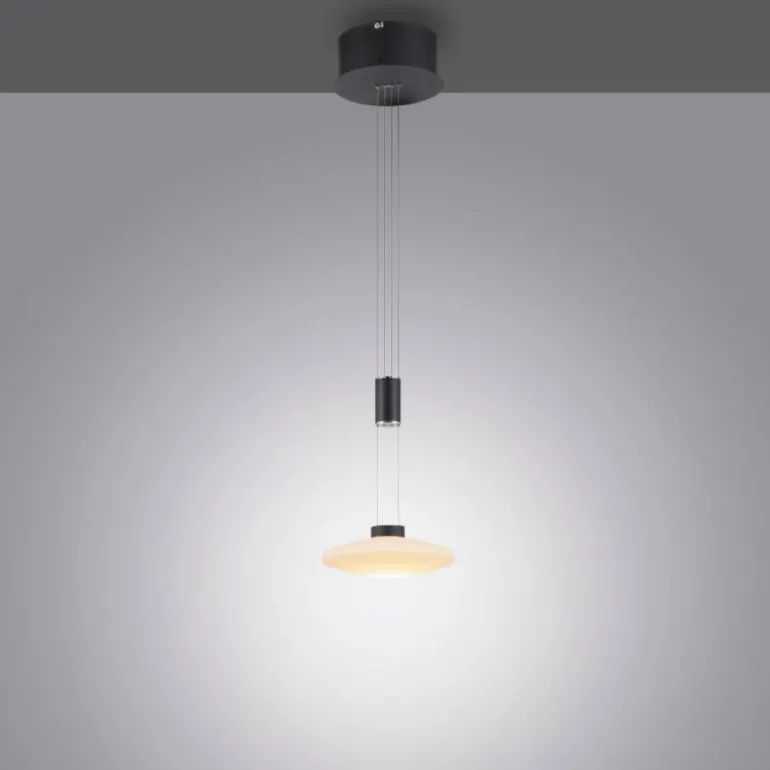 Suspension Paul Neuhaus LAUTADA LED Noir, 1 lumière