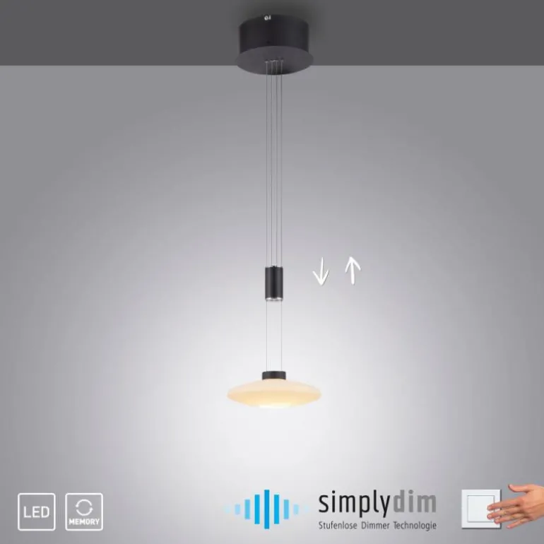 Suspension Paul Neuhaus LAUTADA LED Noir, 1 lumière