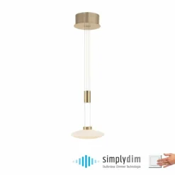 Suspension Paul Neuhaus LAUTADA LED Laiton, 1 lumière