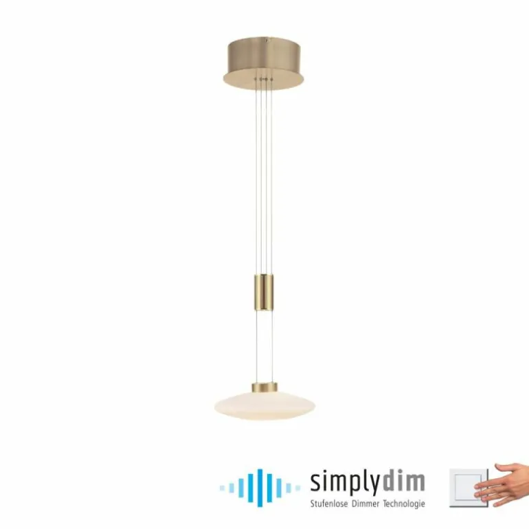 Suspension Paul Neuhaus LAUTADA LED Laiton, 1 lumière
