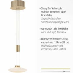 Suspension Paul Neuhaus LAUTADA LED Laiton, 1 lumière