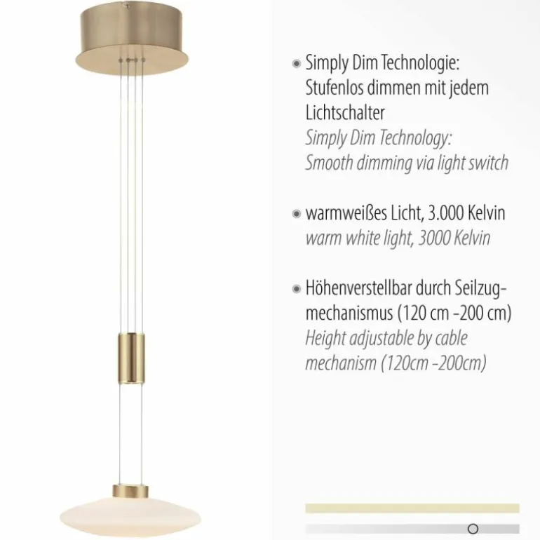 Suspension Paul Neuhaus LAUTADA LED Laiton, 1 lumière