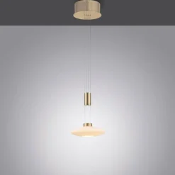 Suspension Paul Neuhaus LAUTADA LED Laiton, 1 lumière