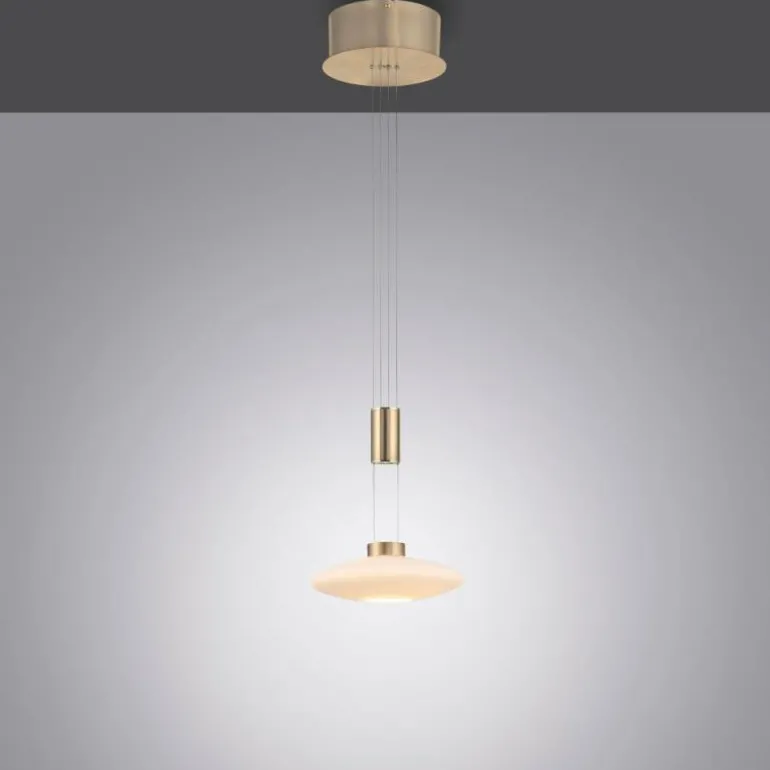 Suspension Paul Neuhaus LAUTADA LED Laiton, 1 lumière