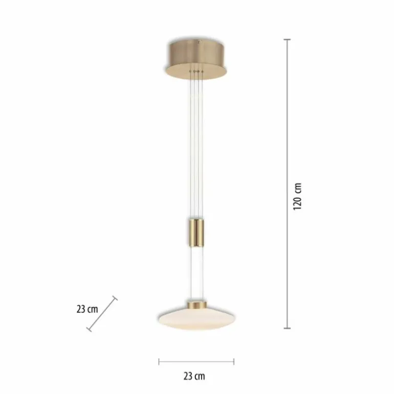 Suspension Paul Neuhaus LAUTADA LED Laiton, 1 lumière