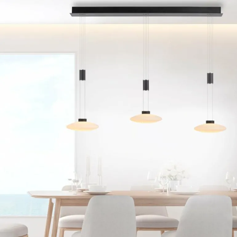 Suspension Paul Neuhaus LAUTADA LED Noir, 3 lumières