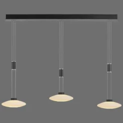 Suspension Paul Neuhaus LAUTADA LED Noir, 3 lumières