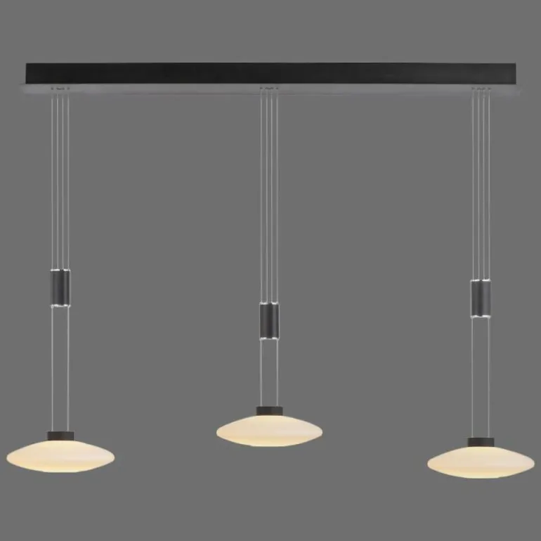 Suspension Paul Neuhaus LAUTADA LED Noir, 3 lumières